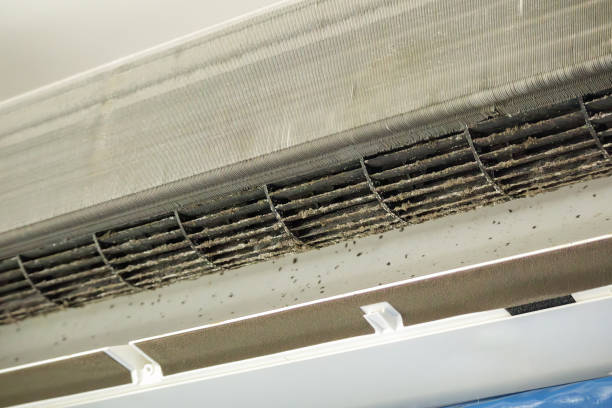 Best Local Air Duct Cleaning Services  in Sandoval, IL